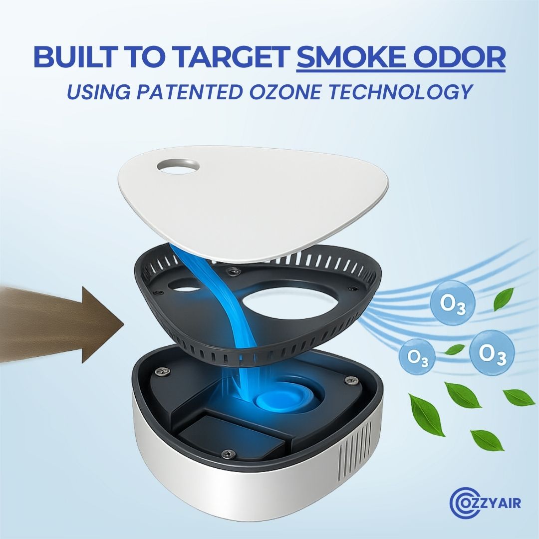Ozzy | Eliminate Cigarette Smoke Odor in 1-Click