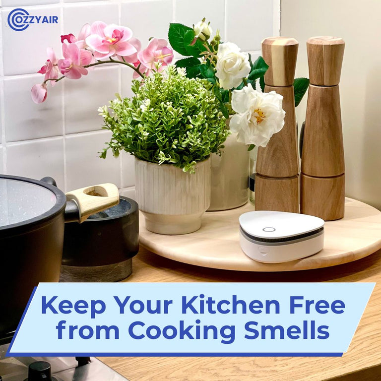 Ozzy | Eliminate Smoke, Pet & Kitchen Odors in 1-Click – Ozzy Air