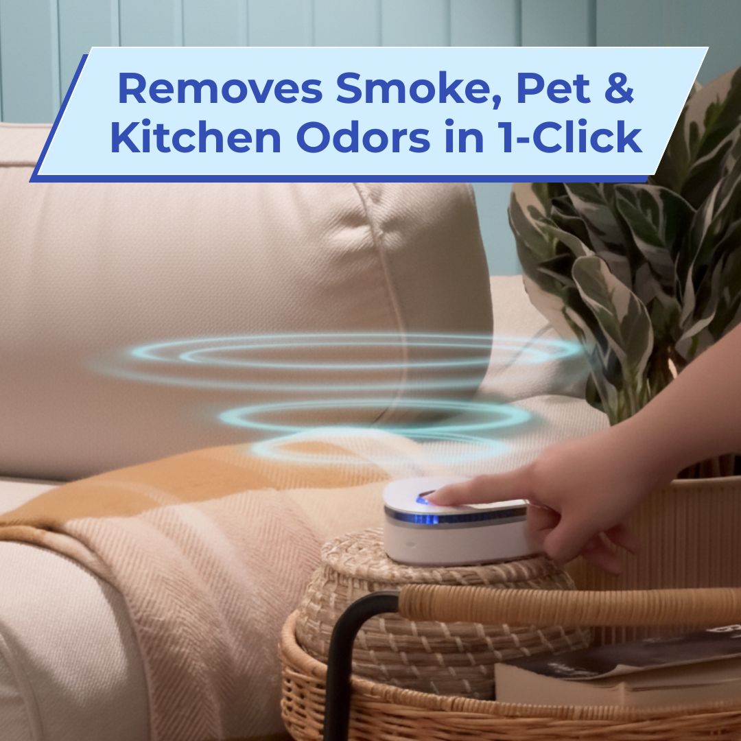 Ozzy | Eliminate Smoke, Pet & Kitchen Odors in 1-Click