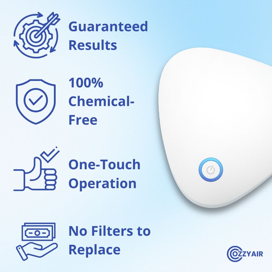 Ozzy | Eliminate Cigarette Smoke Odor in 1-Click