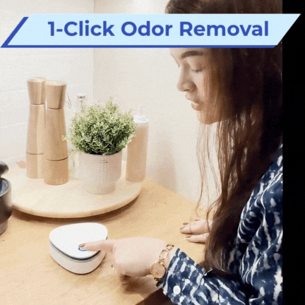 Ozzy | Eliminate Cigarette Smoke Odor in 1-Click