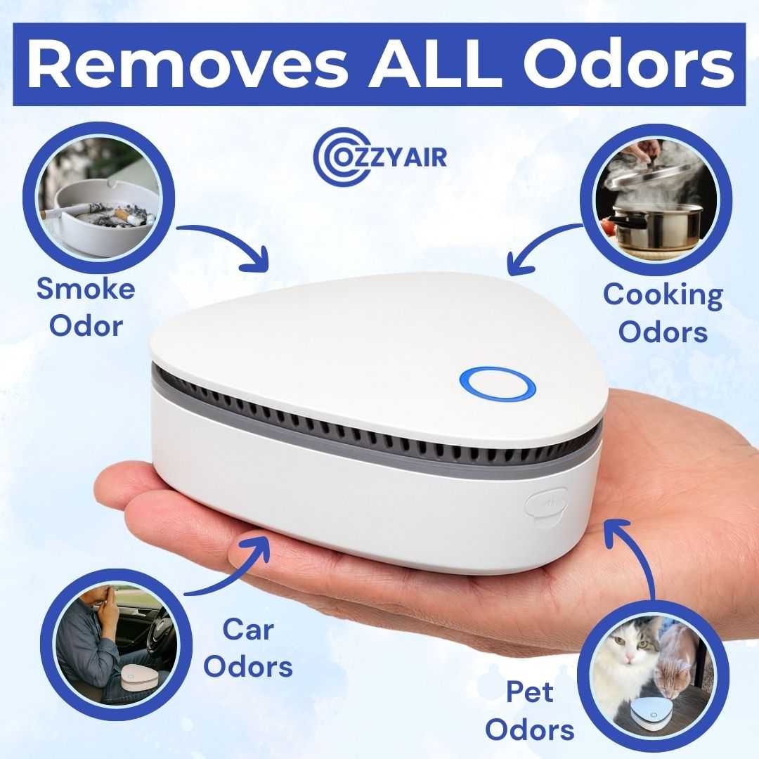 Ozzy | Eliminate Cigarette Smoke Odor in 1-Click